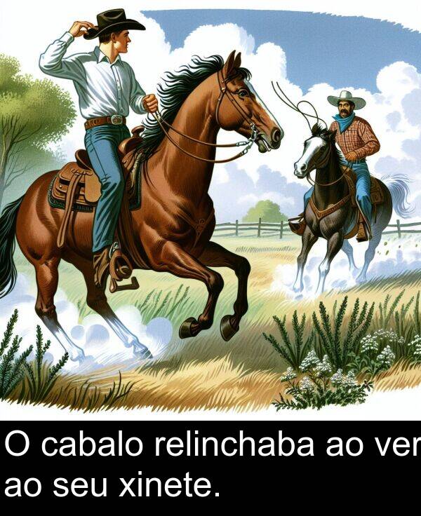 relinchaba: O cabalo relinchaba ao ver ao seu xinete.