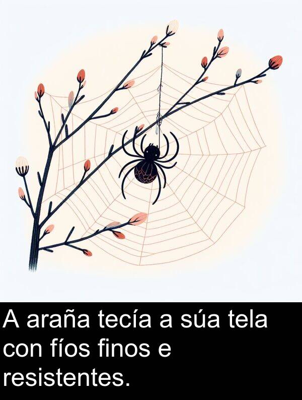 resistentes: A araña tecía a súa tela con fíos finos e resistentes.