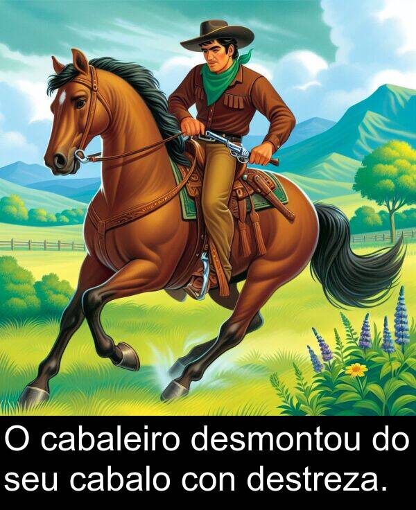 destreza: O cabaleiro desmontou do seu cabalo con destreza.