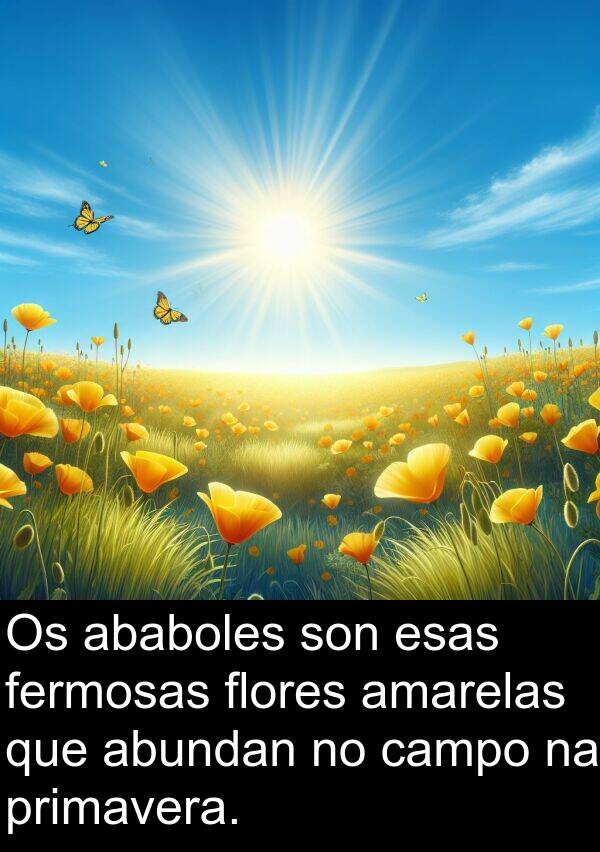 esas: Os ababoles son esas fermosas flores amarelas que abundan no campo na primavera.