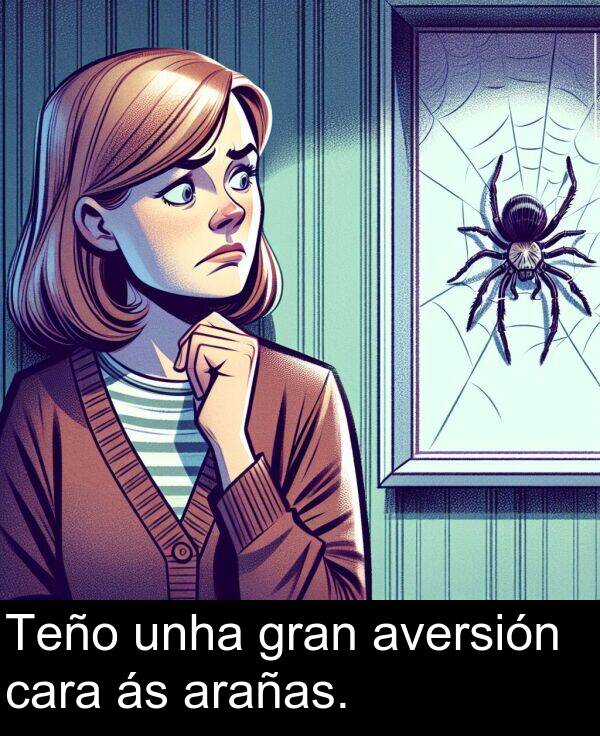 gran: Teño unha gran aversión cara ás arañas.