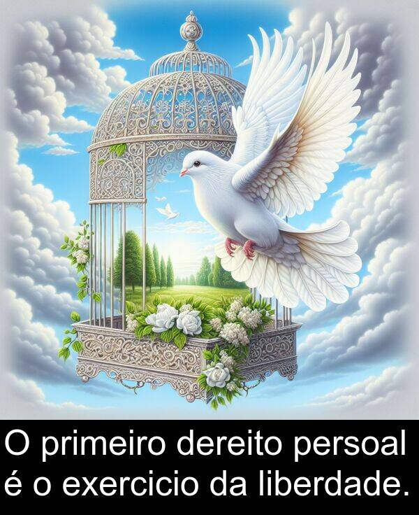 exercicio: O primeiro dereito persoal é o exercicio da liberdade.