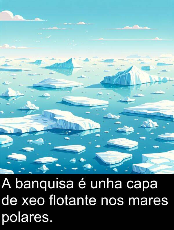 mares: A banquisa é unha capa de xeo flotante nos mares polares.