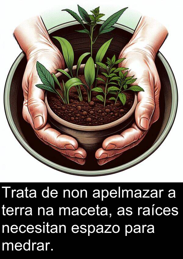 terra: Trata de non apelmazar a terra na maceta, as raíces necesitan espazo para medrar.