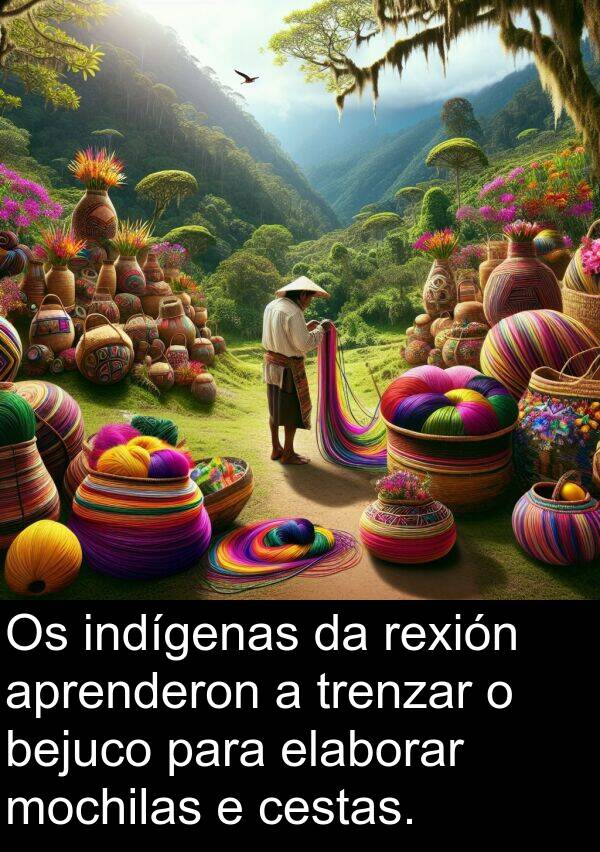 rexión: Os indígenas da rexión aprenderon a trenzar o bejuco para elaborar mochilas e cestas.