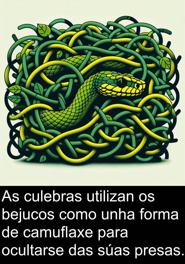 bejucos: As culebras utilizan os bejucos como unha forma de camuflaxe para ocultarse das súas presas.