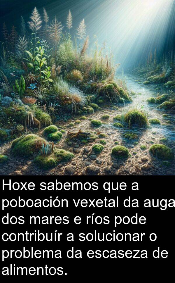 ríos: Hoxe sabemos que a poboación vexetal da auga dos mares e ríos pode contribuír a solucionar o problema da escaseza de alimentos.