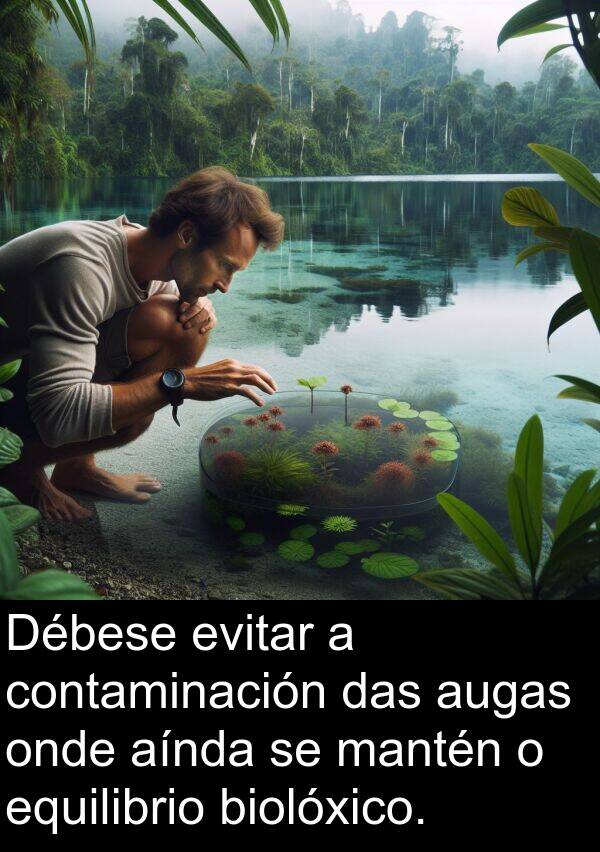 contaminación: Débese evitar a contaminación das augas onde aínda se mantén o equilibrio biolóxico.