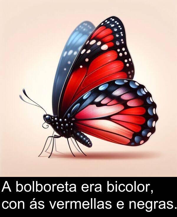 era: A bolboreta era bicolor, con ás vermellas e negras.