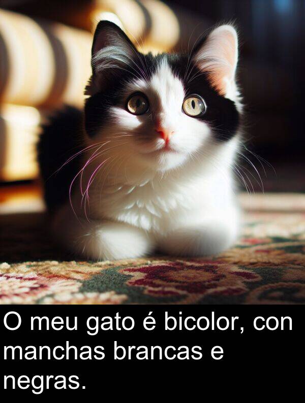 brancas: O meu gato é bicolor, con manchas brancas e negras.