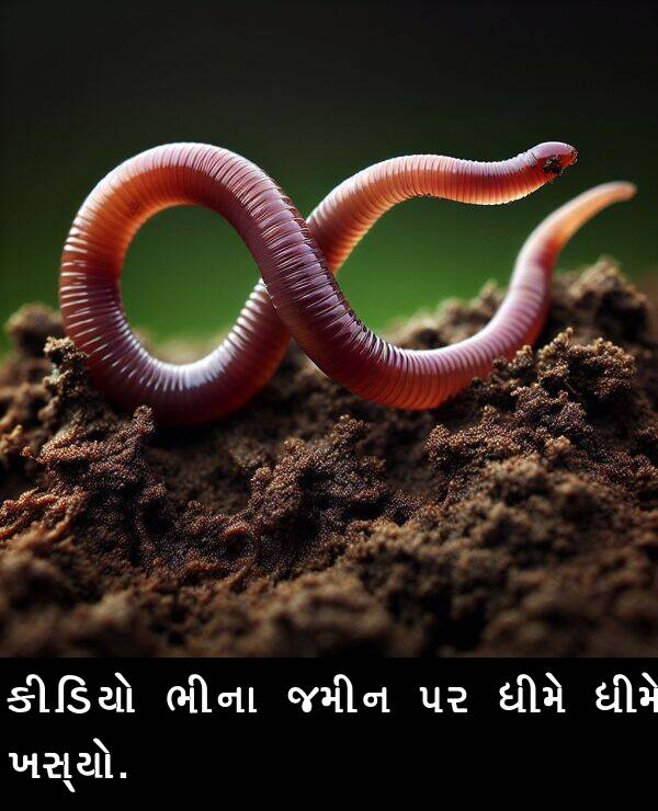 જમીન: કીડિયો ભીના જમીન પર ધીમે ધીમે ખસ્યો.