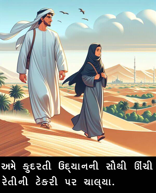 ઊંચી: અમે કુદરતી ઉદ્યાનની સૌથી ઊંચી રેતીની ટેકરી પર ચાલ્યા.