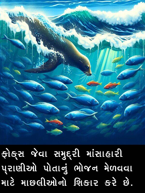 માંસાહારી: ફોક્સ જેવા સમુદ્રી માંસાહારી પ્રાણીઓ પોતાનું ભોજન મેળવવા માટે માછલીઓનો શિકાર કરે છે.