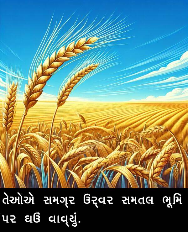 તેઓએ: તેઓએ સમગ્ર ઉર્વર સમતલ ભૂમિ પર ઘઉં વાવ્યું.