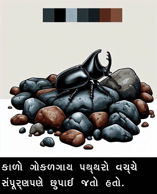 વચ્ચે: કાળો ગોકળગાય પથ્થરો વચ્ચે સંપૂર્ણપણે છુપાઈ જતો હતો.