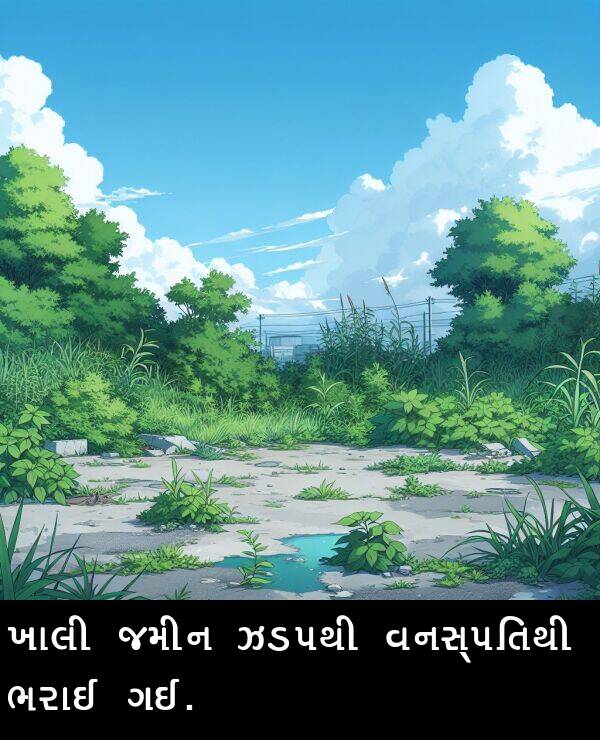 જમીન: ખાલી જમીન ઝડપથી વનસ્પતિથી ભરાઈ ગઈ.