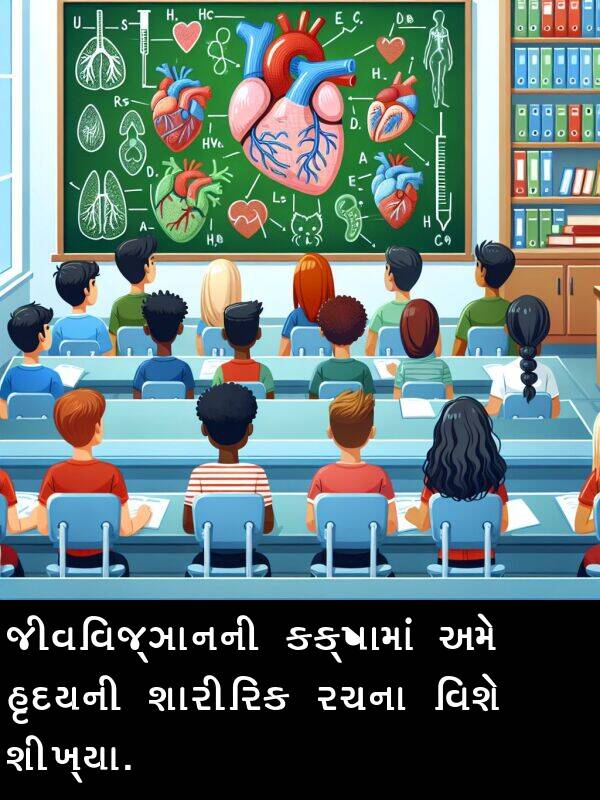 જીવવિજ્ઞાનની: જીવવિજ્ઞાનની કક્ષામાં અમે હૃદયની શારીરિક રચના વિશે શીખ્યા.