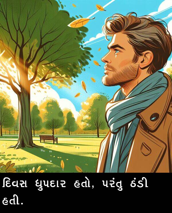 ધુપદાર: દિવસ ધુપદાર હતો, પરંતુ ઠંડી હતી.