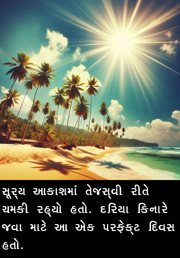 ચમકી: સૂર્ય આકાશમાં તેજસ્વી રીતે ચમકી રહ્યો હતો. દરિયા કિનારે જવા માટે આ એક પરફેક્ટ દિવસ હતો.