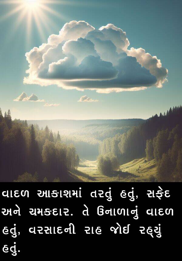 આકાશમાં: વાદળ આકાશમાં તરતું હતું, સફેદ અને ચમકદાર. તે ઉનાળાનું વાદળ હતું, વરસાદની રાહ જોઈ રહ્યું હતું.