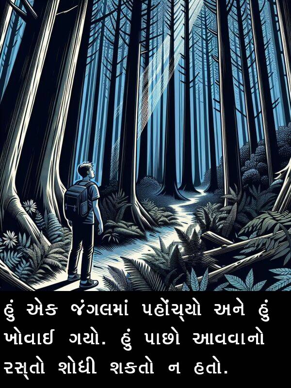 ખોવાઈ: હું એક જંગલમાં પહોંચ્યો અને હું ખોવાઈ ગયો. હું પાછો આવવાનો રસ્તો શોધી શકતો ન હતો.
