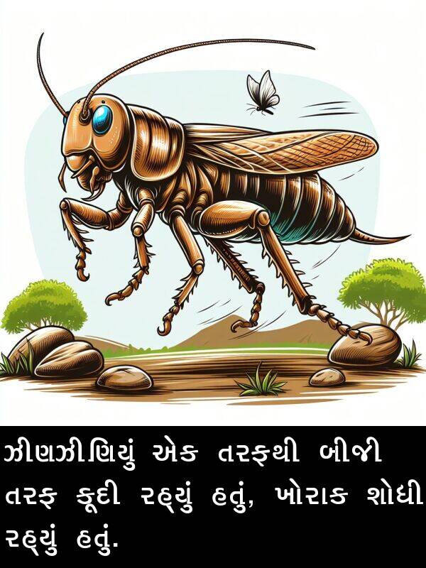 ખોરાક: ઝીણઝીણિયું એક તરફથી બીજી તરફ કૂદી રહ્યું હતું, ખોરાક શોધી રહ્યું હતું.