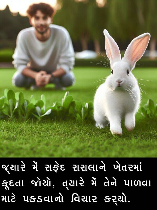 કૂદતા: જ્યારે મેં સફેદ સસલાને ખેતરમાં કૂદતા જોયો, ત્યારે મેં તેને પાળવા માટે પકડવાનો વિચાર કર્યો.