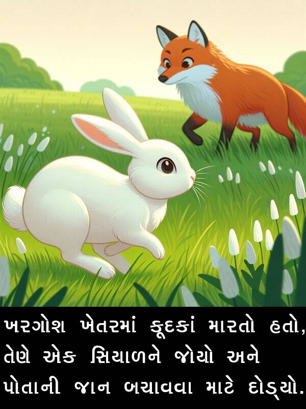 જાન: ખરગોશ ખેતરમાં કૂદકાં મારતો હતો, તેણે એક સિયાળને જોયો અને પોતાની જાન બચાવવા માટે દોડ્યો.
