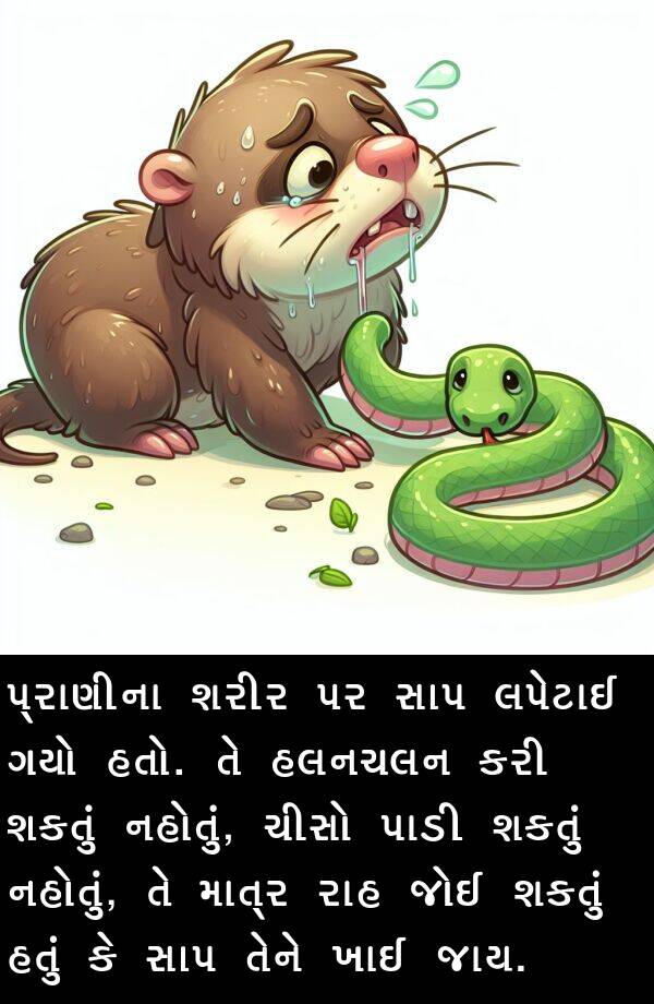 હલનચલન: પ્રાણીના શરીર પર સાપ લપેટાઈ ગયો હતો. તે હલનચલન કરી શકતું નહોતું, ચીસો પાડી શકતું નહોતું, તે માત્ર રાહ જોઈ શકતું હતું કે સાપ તેને ખાઈ જાય.