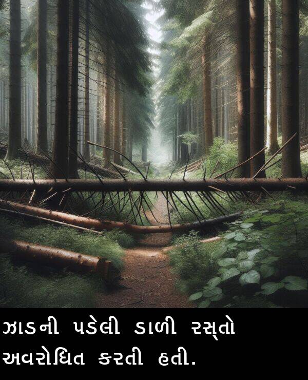 ઝાડની: ઝાડની પડેલી ડાળી રસ્તો અવરોધિત કરતી હતી.