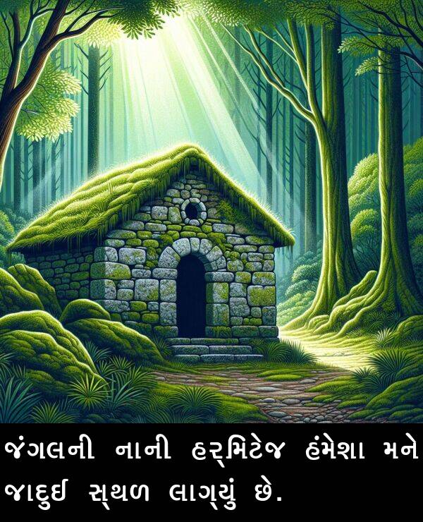 લાગ્યું: જંગલની નાની હર્મિટેજ હંમેશા મને જાદુઈ સ્થળ લાગ્યું છે.