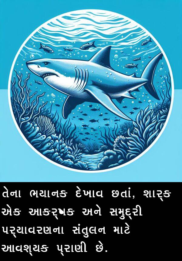 સંતુલન: તેના ભયાનક દેખાવ છતાં, શાર્ક એક આકર્ષક અને સમુદ્રી પર્યાવરણના સંતુલન માટે આવશ્યક પ્રાણી છે.