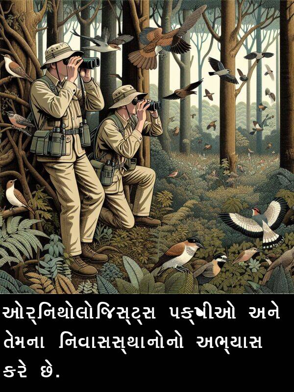નિવાસસ્થાનોનો: ઓર્નિથોલોજિસ્ટ્સ પક્ષીઓ અને તેમના નિવાસસ્થાનોનો અભ્યાસ કરે છે.