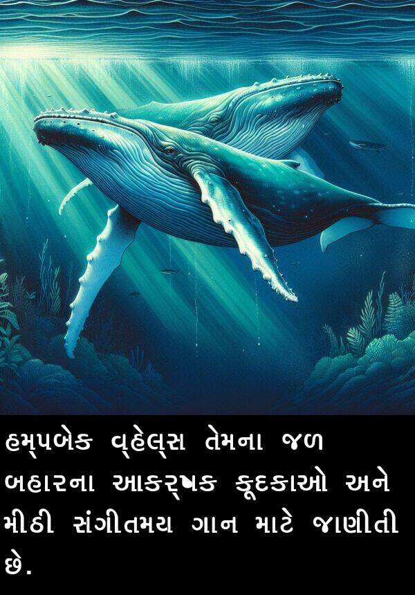 ગાન: હમ્પબેક વ્હેલ્સ તેમના જળ બહારના આકર્ષક કૂદકાઓ અને મીઠી સંગીતમય ગાન માટે જાણીતી છે.