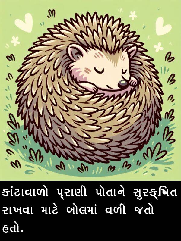 રાખવા: કાંટાવાળો પ્રાણી પોતાને સુરક્ષિત રાખવા માટે બોલમાં વળી જતો હતો.