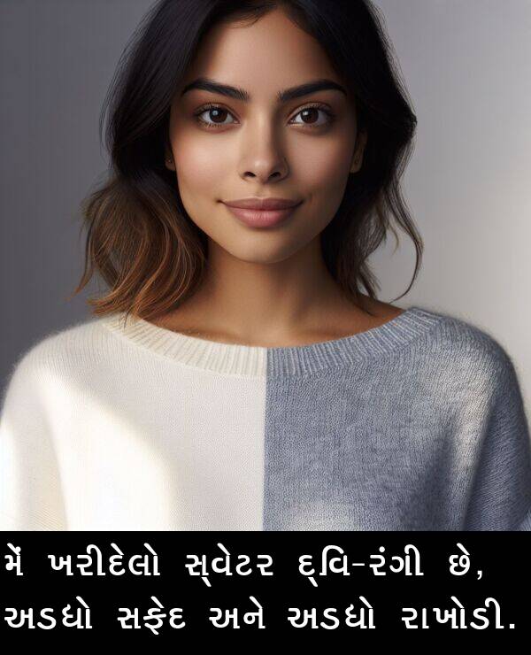 ખરીદેલો: મેં ખરીદેલો સ્વેટર દ્વિ-રંગી છે, અડધો સફેદ અને અડધો રાખોડી.