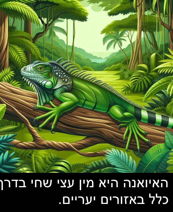 באזורים: האיואנה היא מין עצי שחי בדרך כלל באזורים יעריים.