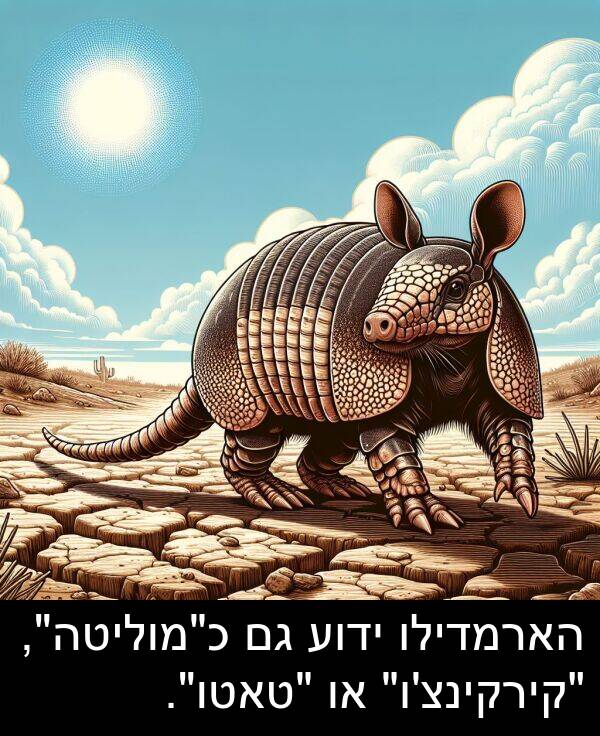 ידוע: הארמדילו ידוע גם כ"מוליטה", "קירקינצ'ו" או "טאטו".