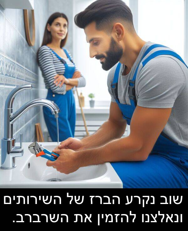 השרברב: שוב נקרע הברז של השירותים ונאלצנו להזמין את השרברב.