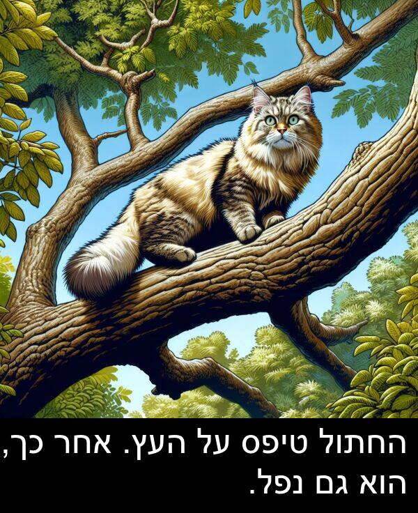 טיפס: החתול טיפס על העץ. אחר כך, הוא גם נפל.