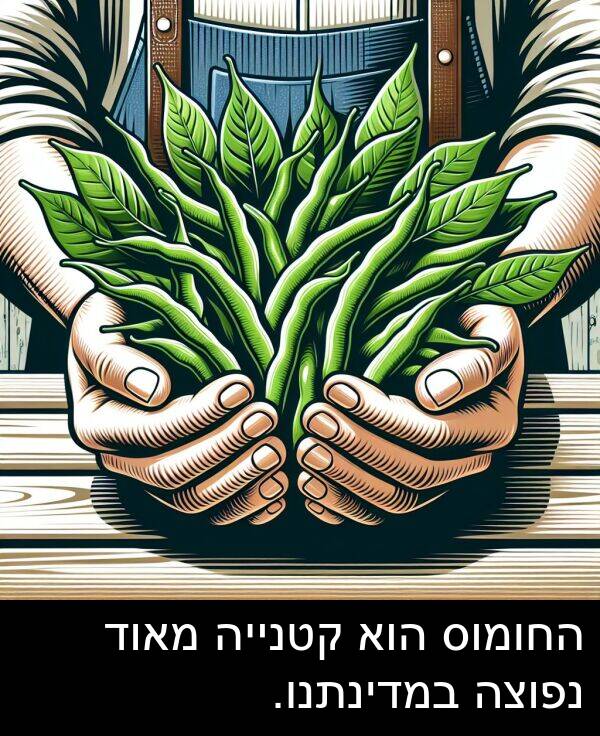 קטנייה: החומוס הוא קטנייה מאוד נפוצה במדינתנו.