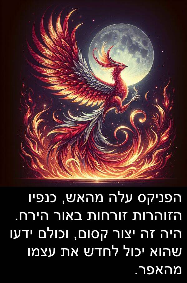 באור: הפניקס עלה מהאש, כנפיו הזוהרות זורחות באור הירח. היה זה יצור קסום, וכולם ידעו שהוא יכול לחדש את עצמו מהאפר.