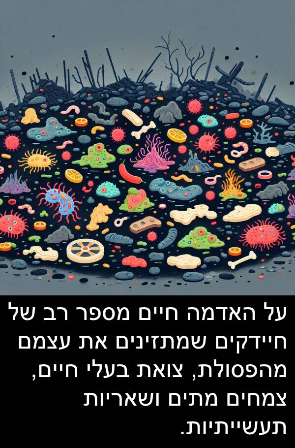 צמחים: על האדמה חיים מספר רב של חיידקים שמתזינים את עצמם מהפסולת, צואת בעלי חיים, צמחים מתים ושאריות תעשייתיות.