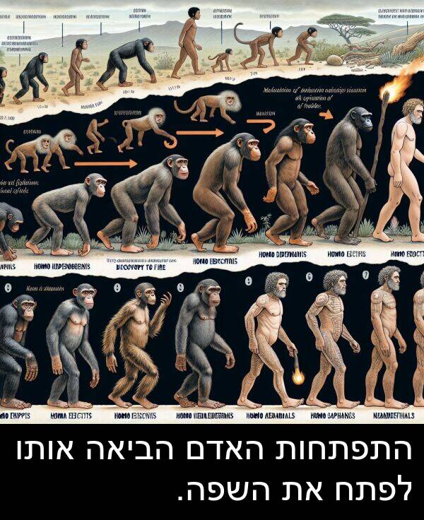 אותו: התפתחות האדם הביאה אותו לפתח את השפה.
