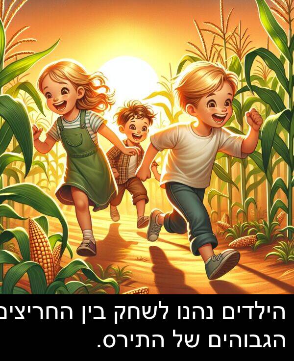 נהנו: הילדים נהנו לשחק בין החריצים הגבוהים של התירס.