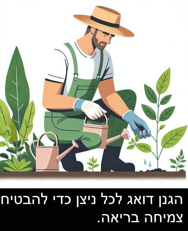 צמיחה: הגנן דואג לכל ניצן כדי להבטיח צמיחה בריאה.