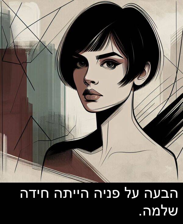פניה: הבעה על פניה הייתה חידה שלמה.