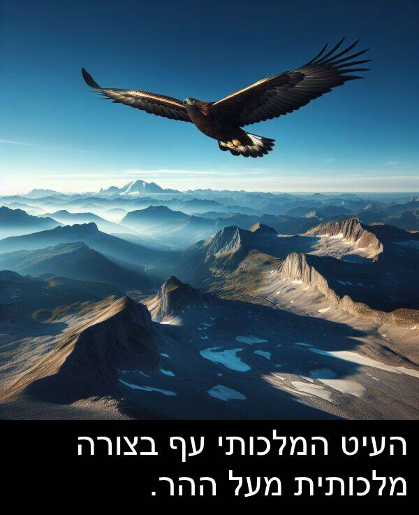 העיט: העיט המלכותי עף בצורה מלכותית מעל ההר.