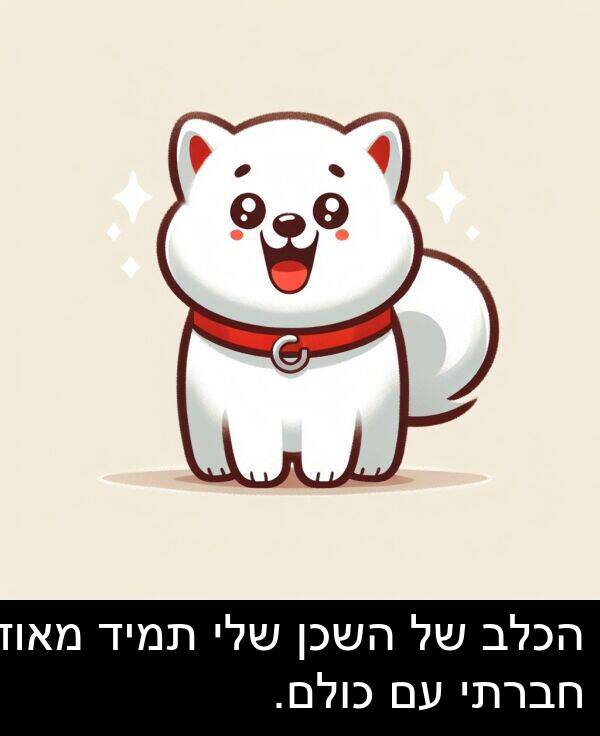 חברתי: הכלב של השכן שלי תמיד מאוד חברתי עם כולם.
