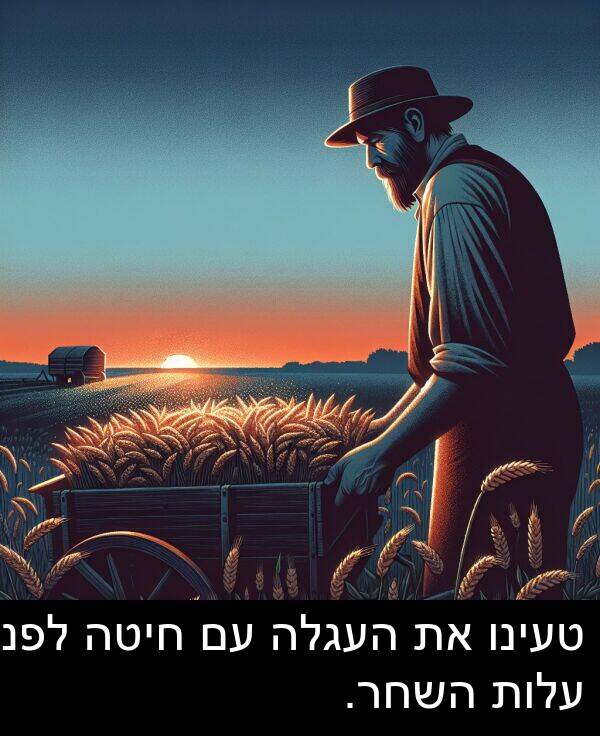 טעינו: טעינו את העגלה עם חיטה לפני עלות השחר.